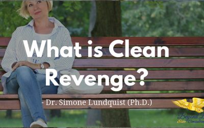 What is Clean Revenge?